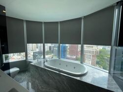 The Orchard Residences (D9), Apartment #459244091
